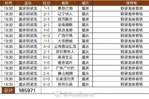 2025重庆铜梁龙队现场观众人数：合计185971人次，场均12398人